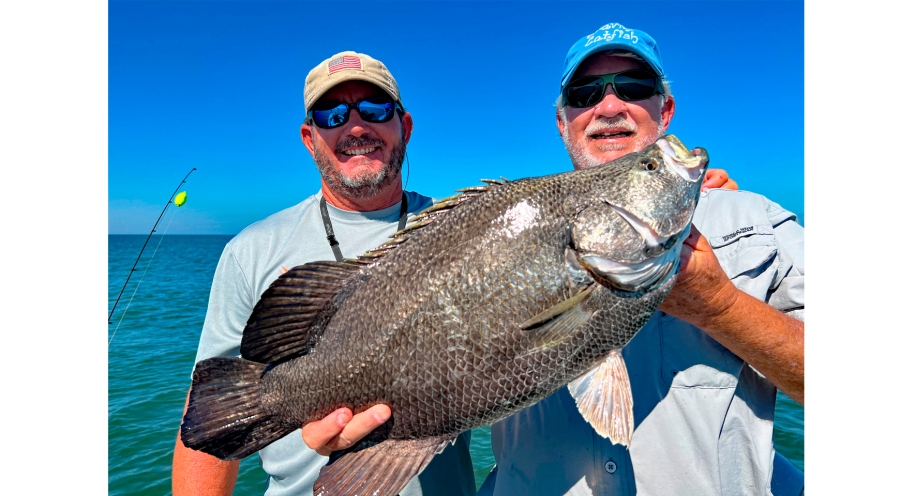 Tripletail Equal Triple the Excitement