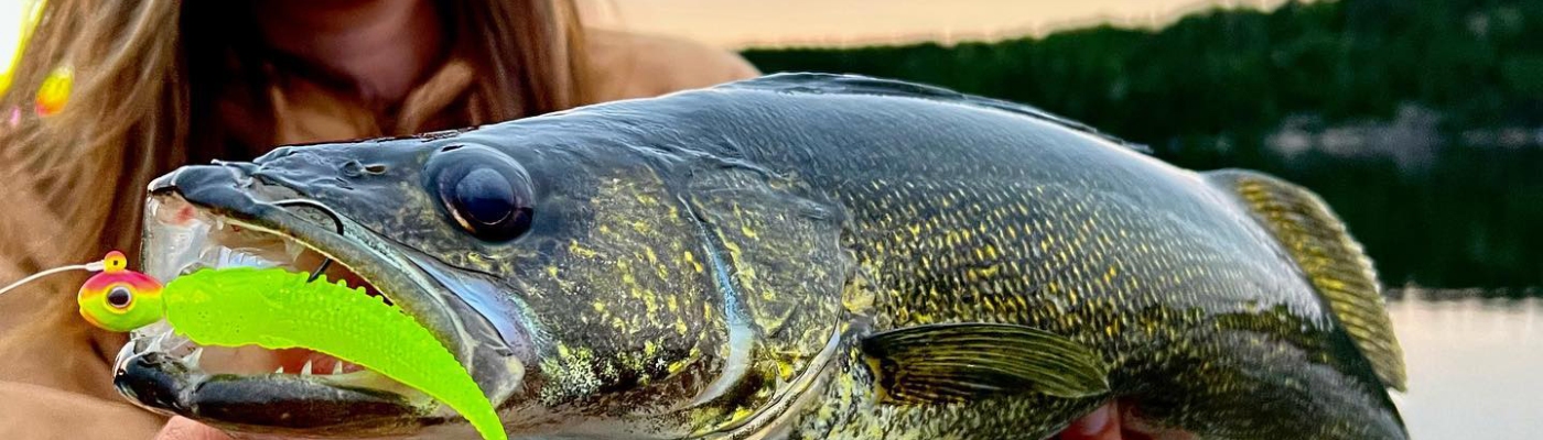 Paddletail Swimbaits for Late-Season Walleyes - In-Fisherman